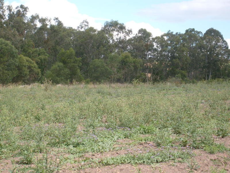 00 Gorries Road, Childers QLD 4660
