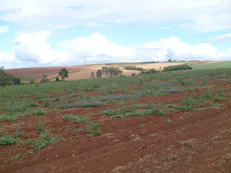 00 Gorries Road, Childers QLD 4660