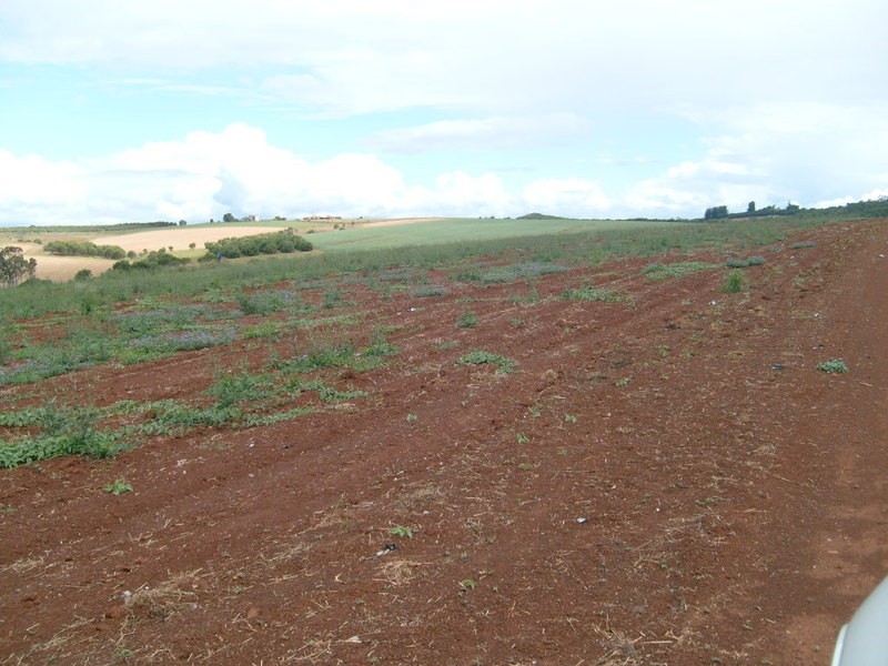 00 Gorries Road, Childers QLD 4660
