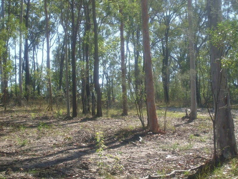 595 Berries Road, Childers QLD 4660