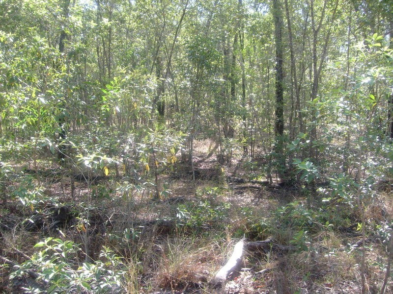 595 Berries Road, Childers QLD 4660