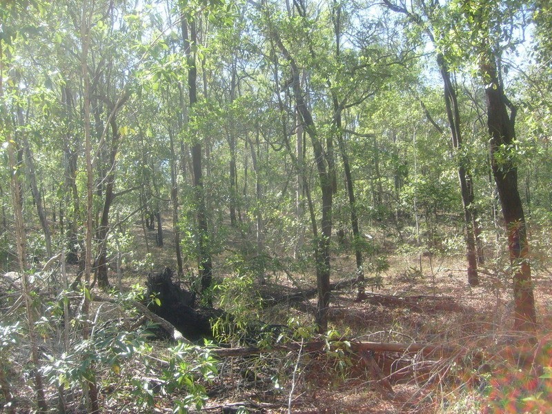 595 Berries Road, Childers QLD 4660