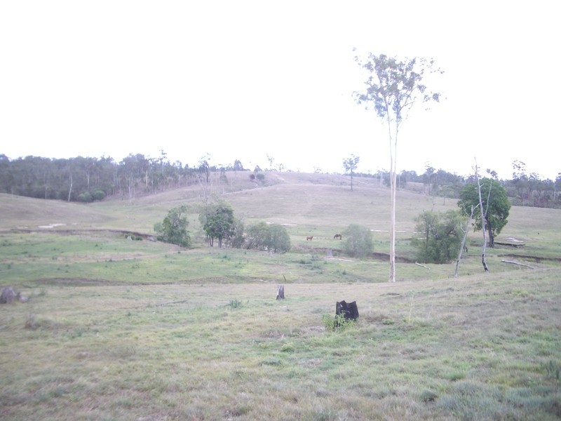 25 blocks Berthlesens Road, Booyal QLD 4671