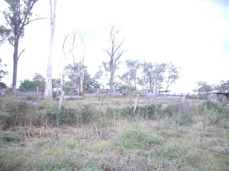 25 blocks Berthlesens Road, Booyal QLD 4671