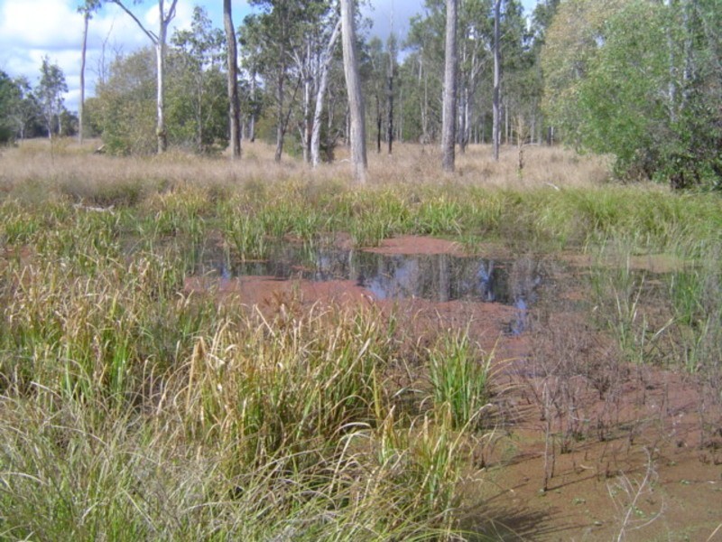 25 blocks Berthlesens Road, Booyal QLD 4671