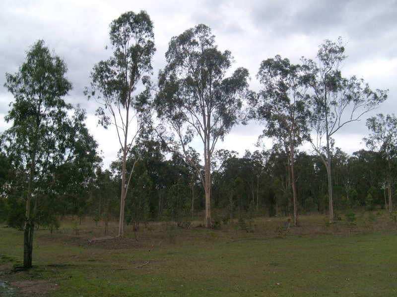 311 Woowoonga Hall Road, Biggenden QLD 4621