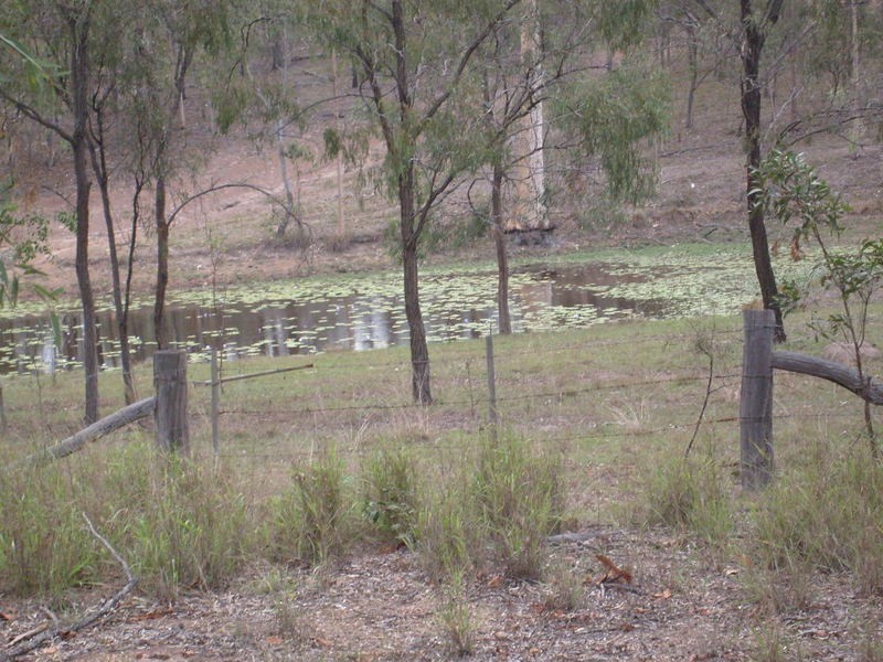 311 Woowoonga Hall Road, Biggenden QLD 4621