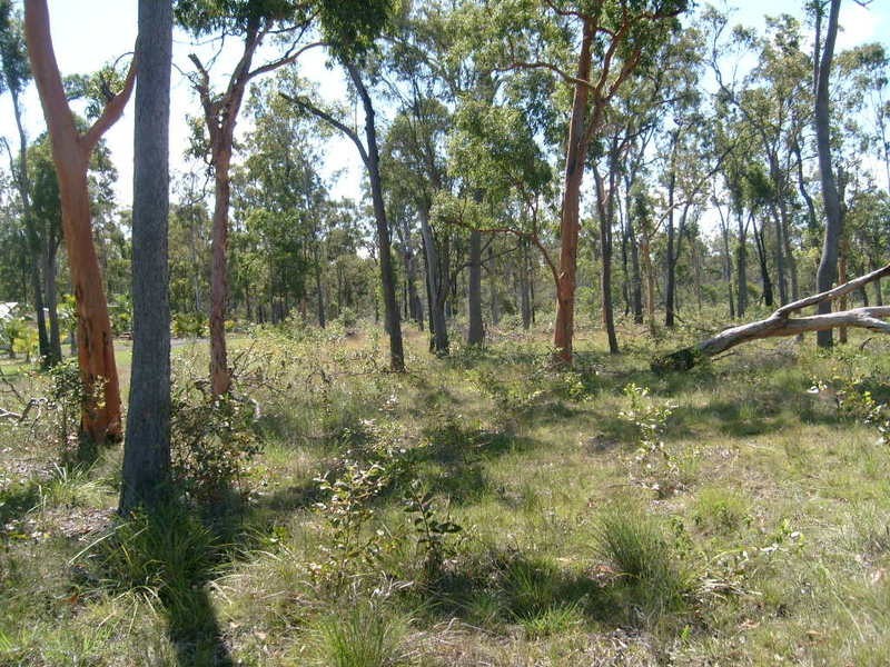 121 Sunnybrae Crescent, Redridge QLD 4660