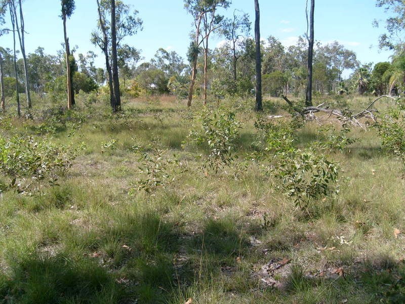 121 Sunnybrae Crescent, Redridge QLD 4660