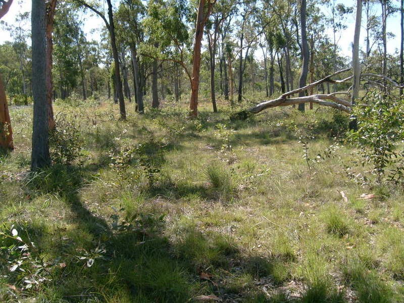 121 Sunnybrae Crescent, Redridge QLD 4660