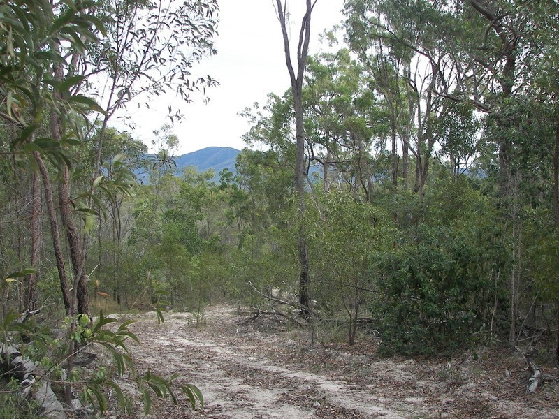 865 Berries Road, Childers QLD 4660