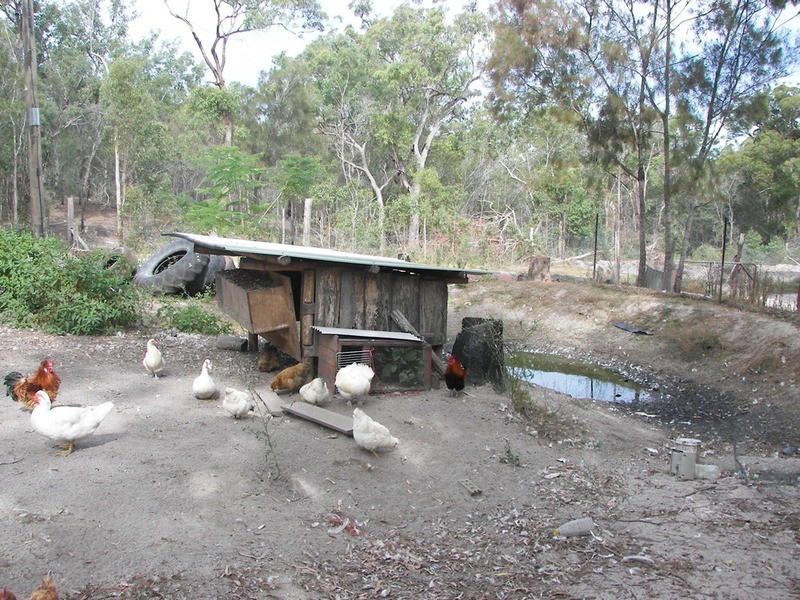 865 Berries Road, Childers QLD 4660