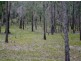 865 Berries Road, Childers QLD 4660