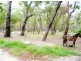 865 Berries Road, Childers QLD 4660