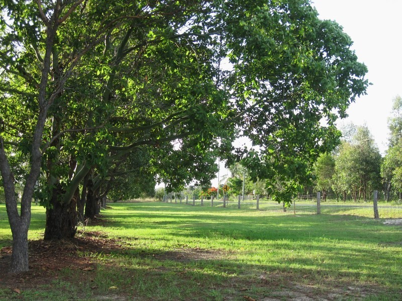 164 Woodgate Road, Goodwood QLD 4660