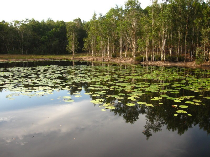 164 Woodgate Road, Goodwood QLD 4660