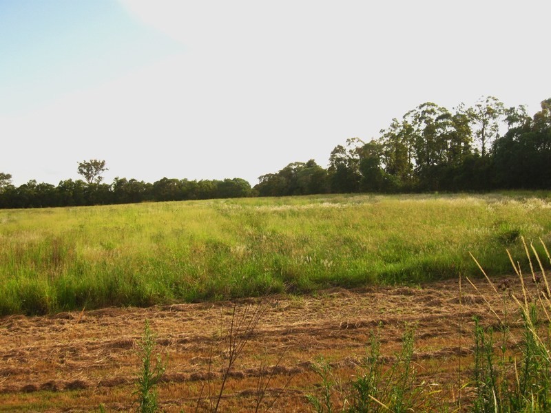 164 Woodgate Road, Goodwood QLD 4660