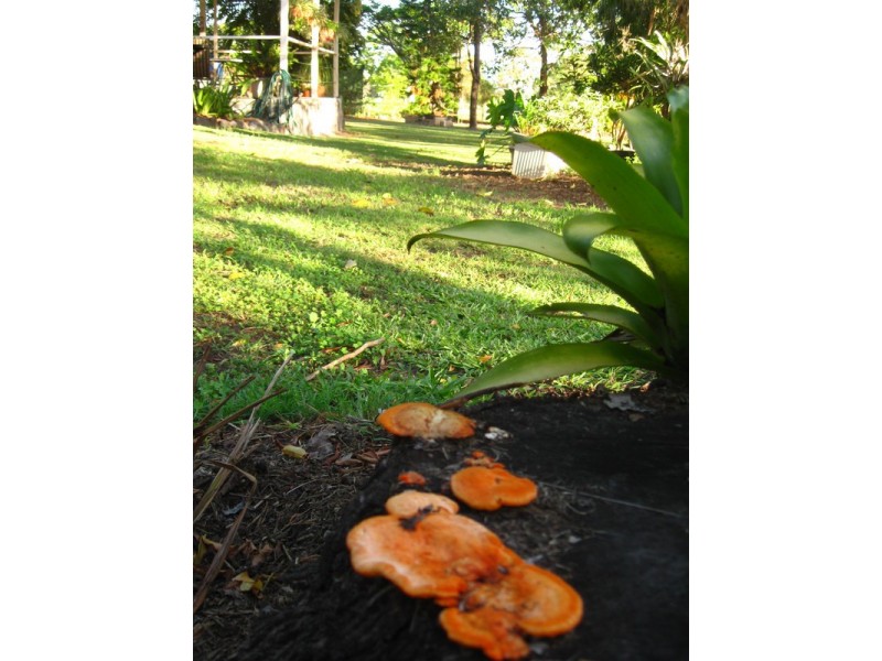 164 Woodgate Road, Goodwood QLD 4660