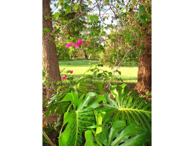 164 Woodgate Road, Goodwood QLD 4660