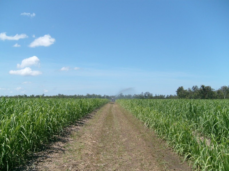 95 Neighbours Road, Redridge QLD 4660