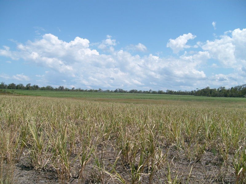 95 Neighbours Road, Redridge QLD 4660