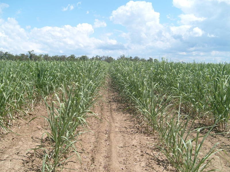 95 Neighbours Road, Redridge QLD 4660