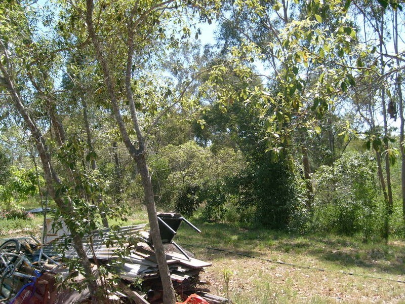 12 Madle Court, Booyal QLD 4671