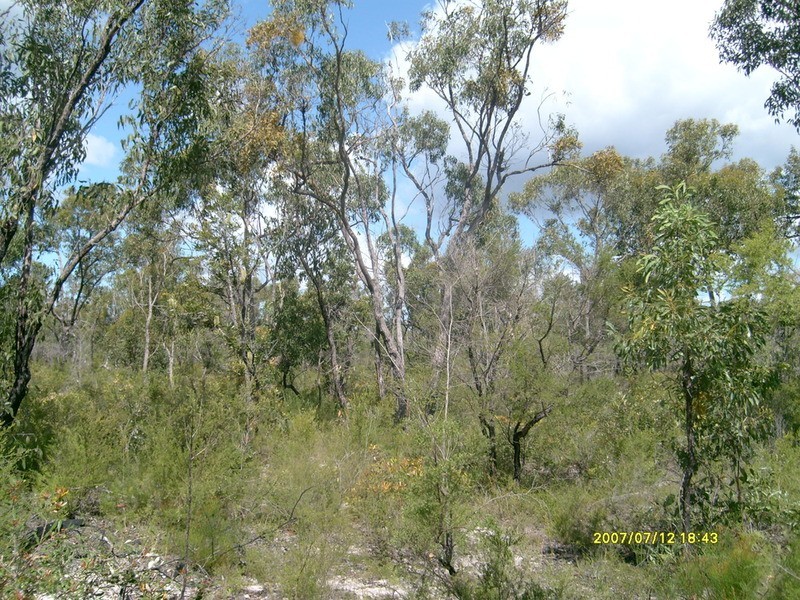 12 Madle Court, Booyal QLD 4671