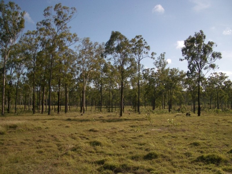 61 Eureka Station Road, Childers QLD 4660