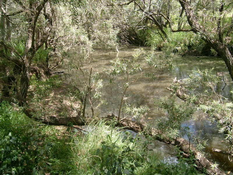 152 Pratts Road, Drinan QLD 4671