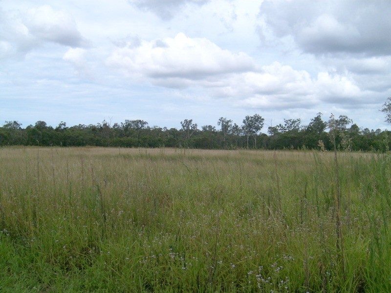 38 Olivers Road, Childers QLD 4660