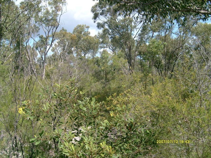 212 Pioneer Road, Buxton QLD 4660