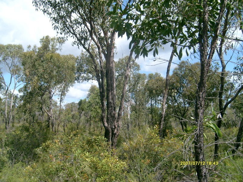 212 Pioneer Road, Buxton QLD 4660