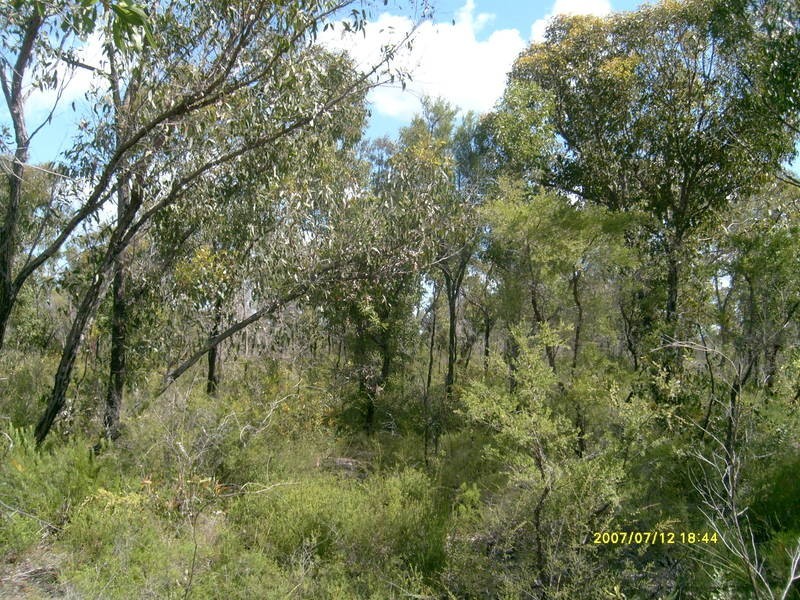 212 Pioneer Road, Buxton QLD 4660