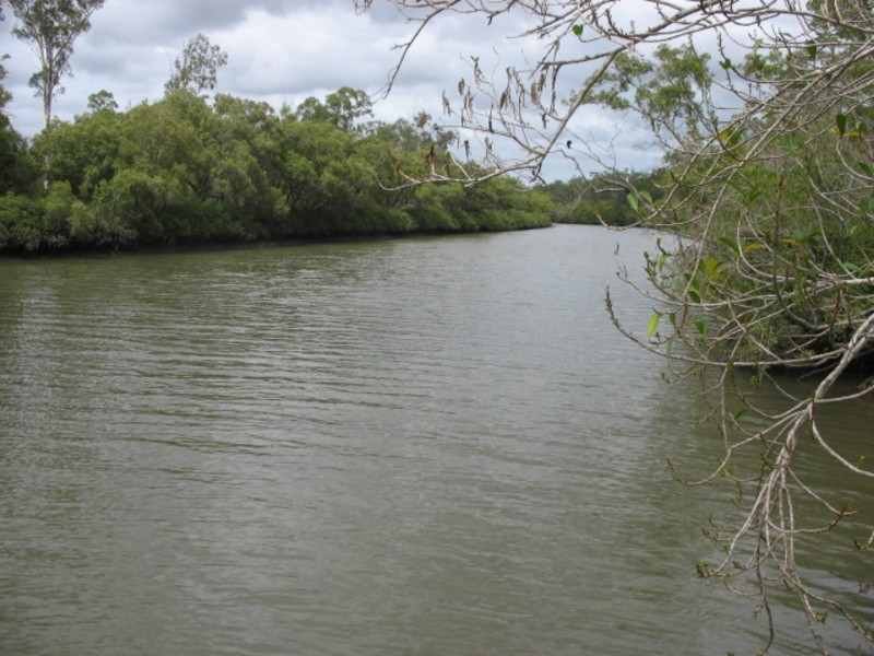 1474 Buxton Road, Buxton QLD 4660