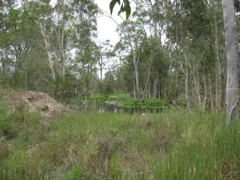 1474 Buxton Road, Buxton QLD 4660