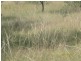 0 Todds Road, Childers QLD 4660