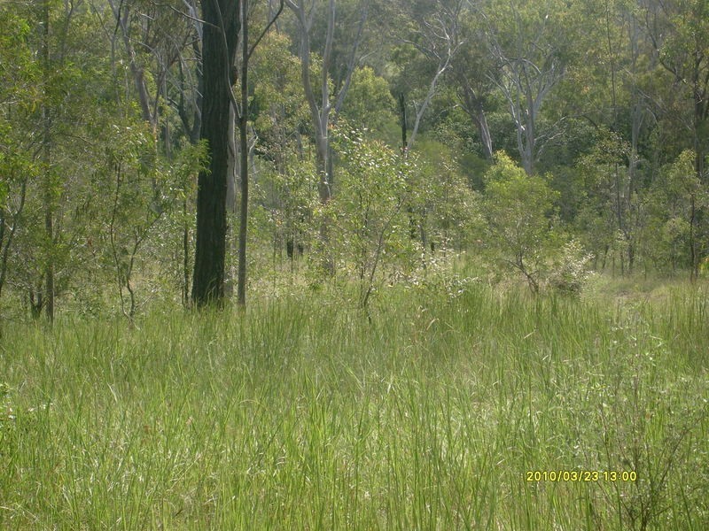 0 Todds Road, Childers QLD 4660