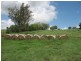 25 Red Hill Road, Woowoonga QLD 4621