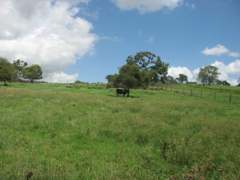 25 Red Hill Road, Woowoonga QLD 4621