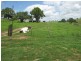 25 Red Hill Road, Woowoonga QLD 4621