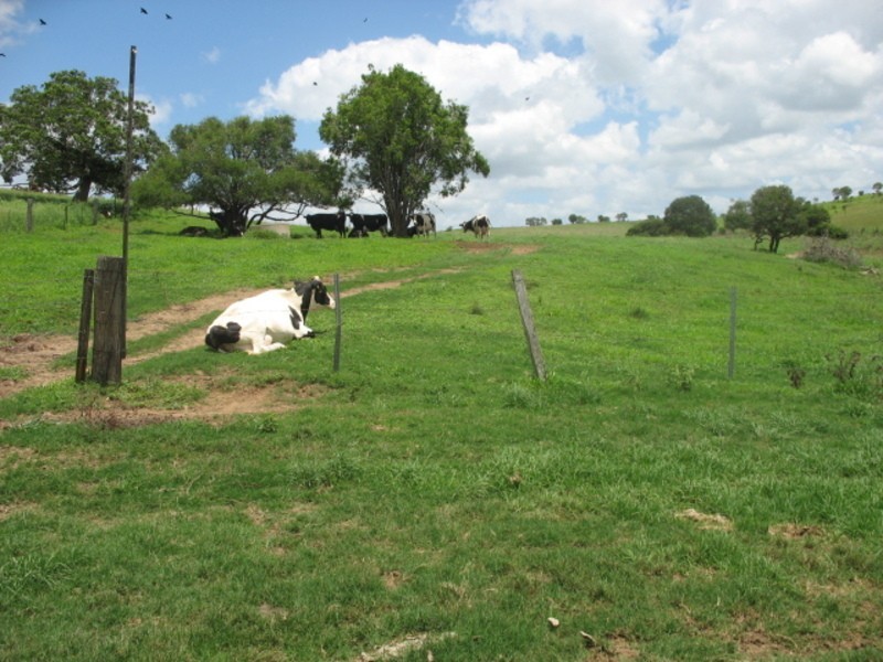 25 Red Hill Road, Woowoonga QLD 4621