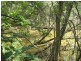 Lot 65 Woowoonga Hall Road, Woowoonga QLD 4621