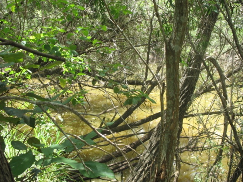 Lot 65 Woowoonga Hall Road, Woowoonga QLD 4621