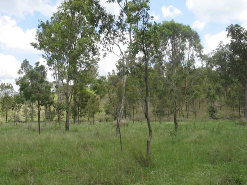 Lot 65 Woowoonga Hall Road, Woowoonga QLD 4621