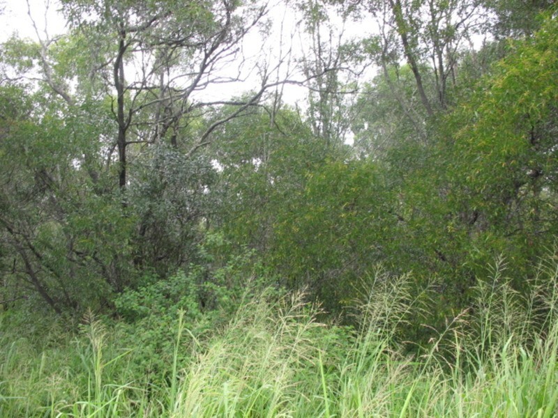 29409 Bruce Highway, Apple Tree Creek QLD 4660