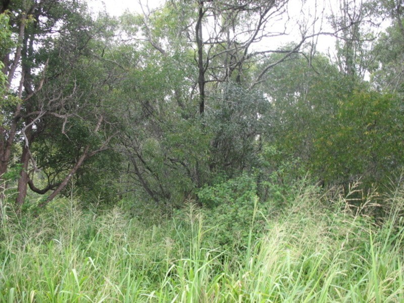 29409 Bruce Highway, Apple Tree Creek QLD 4660