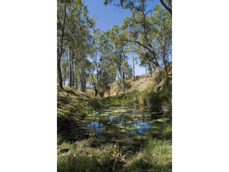 485 Dallarnil Road, Booyal QLD 4671