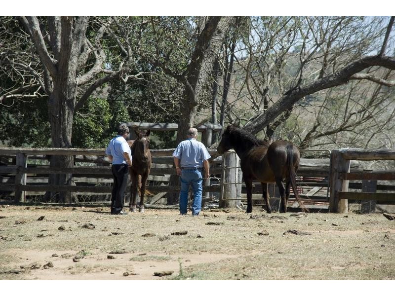 485 Dallarnil Road, Booyal QLD 4671