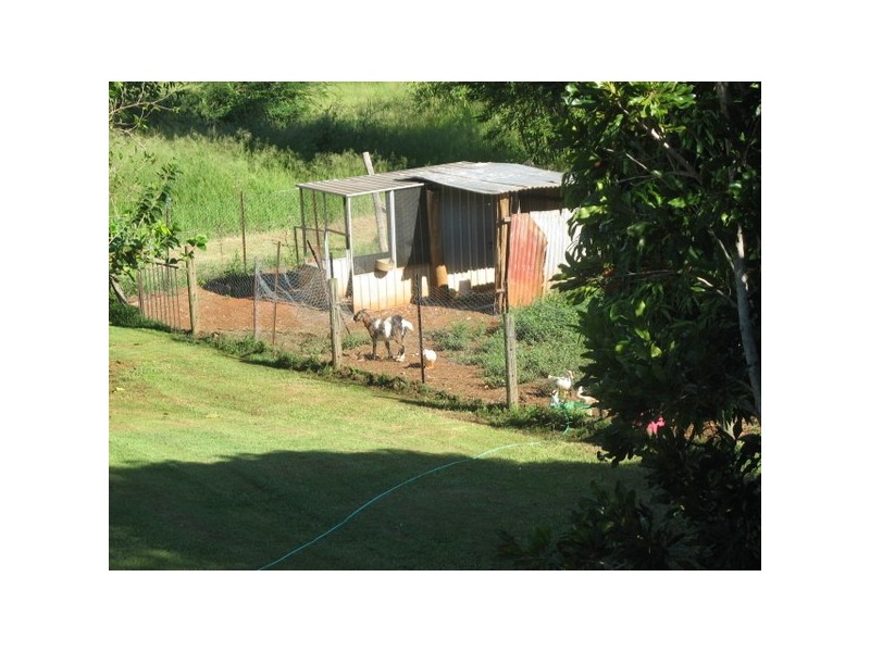 146 Thompson Road, Childers QLD 4660